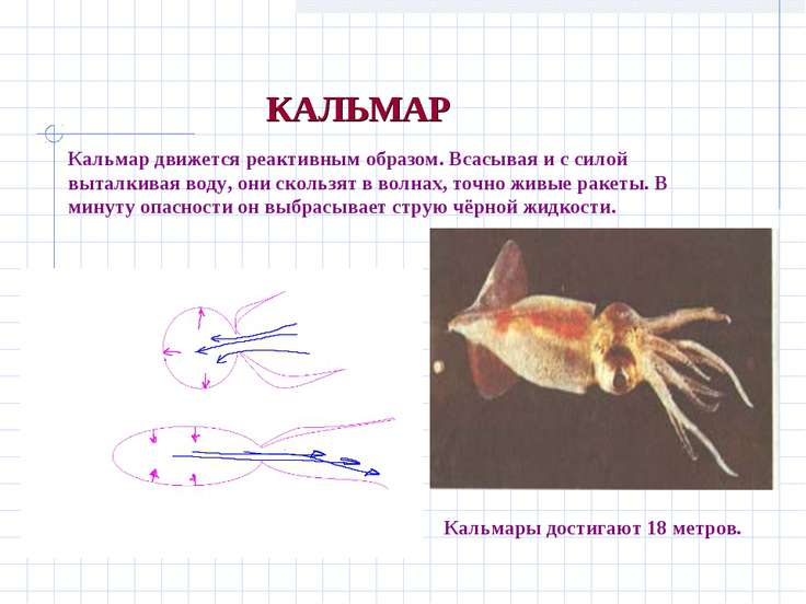 Презентацию По Реактивному Движению