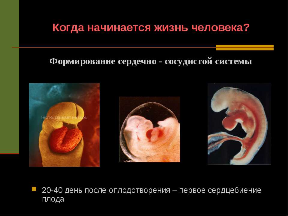 За сколько можно похудеть на 10 кг Достинекс - инструкция по применению, отзывы, аналоги и формы