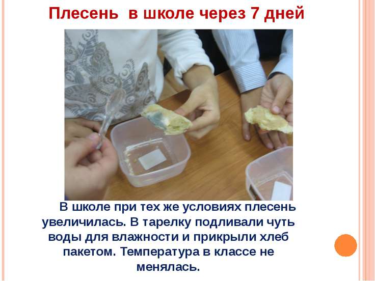 Зимние и Новогодние схемы для вышивки крестиком Рукоделие Зеленое сердечко, хойя керри