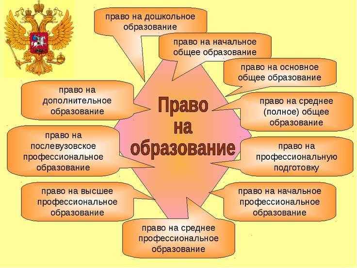 Право на дошкольное образование конституция разделявшую