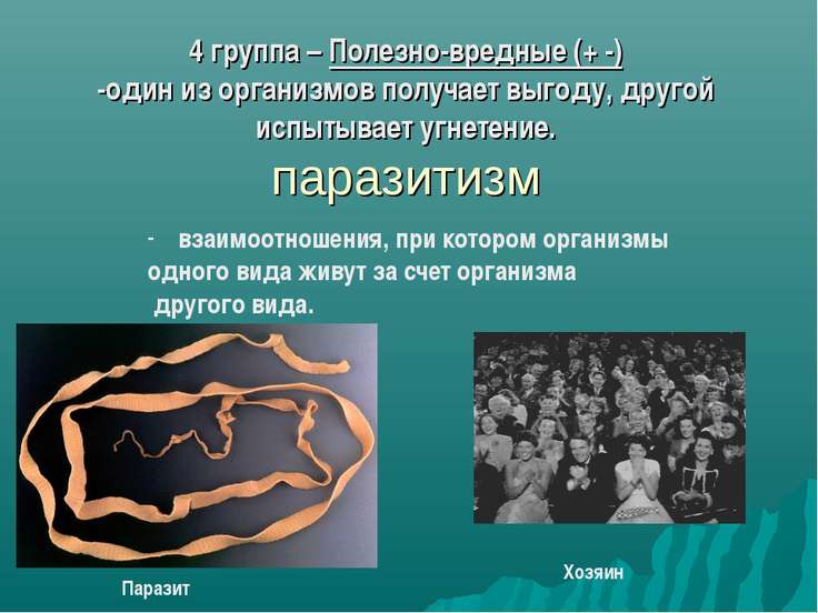 Почему в природе не бывает вредных организмов 5 класс Почему в природе не бывает вредных организмов 5 класс