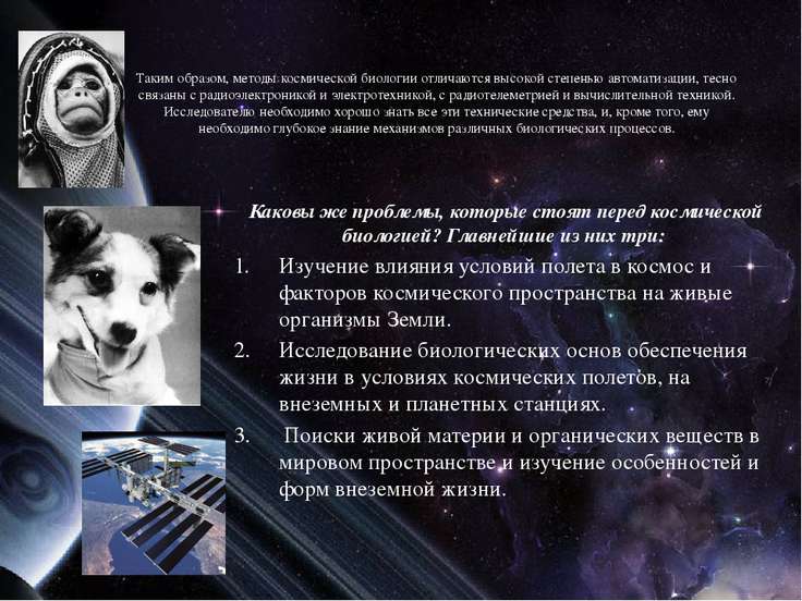 [PUNIQRANDLINE-(au-dating-names.txt) 24 Роль биологии в космосе реферат 1624