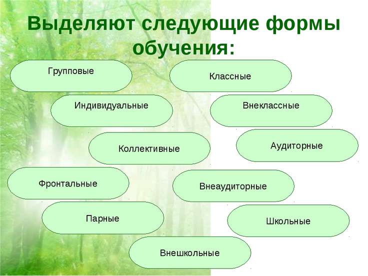 Форма обучения мастер класс Форма обучения мастер класс