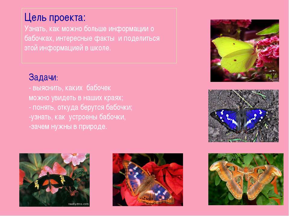 Интересный факт как сделано Интересный факт как сделано