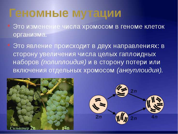 Кофты, жакеты Страница 2 Вязание спицами и Как рисовать самолеты поэтапно