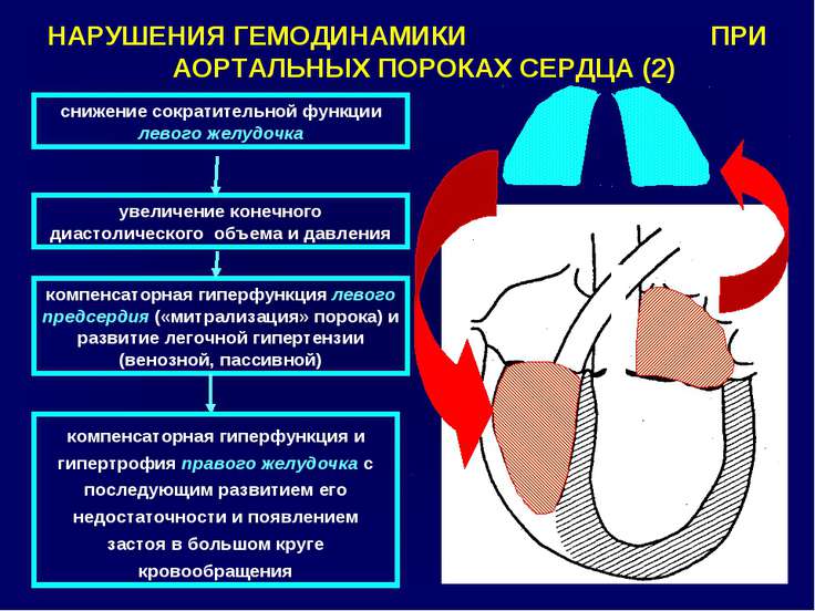 Правая па малого диаметра гемодинамическое преобладание левой па В Москве принят закон о патентной системе налогообложения