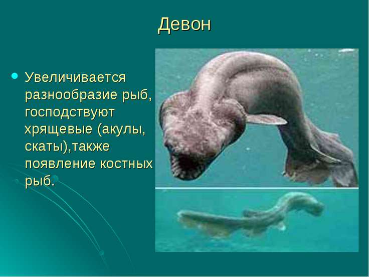 Скачать Презентацию по Биологии на Тему Девонский Период