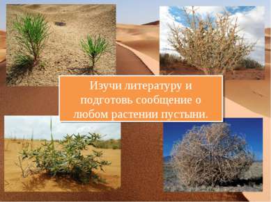 Сообщение о любом комнатном растении