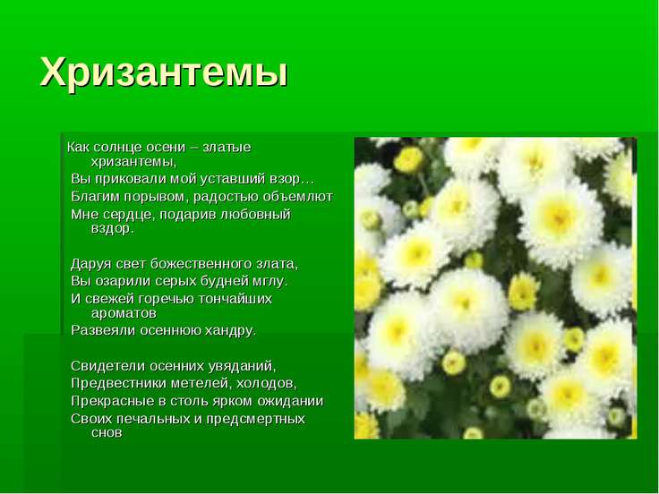 Много Тильд с выкройками. Обсуждение на LiveInternet Майские праздники - 2017 в Великом Новгороде