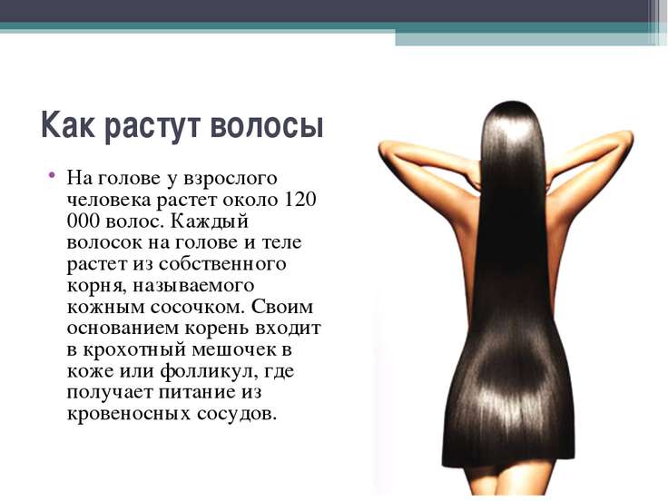 Что нужно сделать чтобы волосы быстро росли в домашних условиях Что нужно сделать чтобы волосы быстро росли в домашних условиях