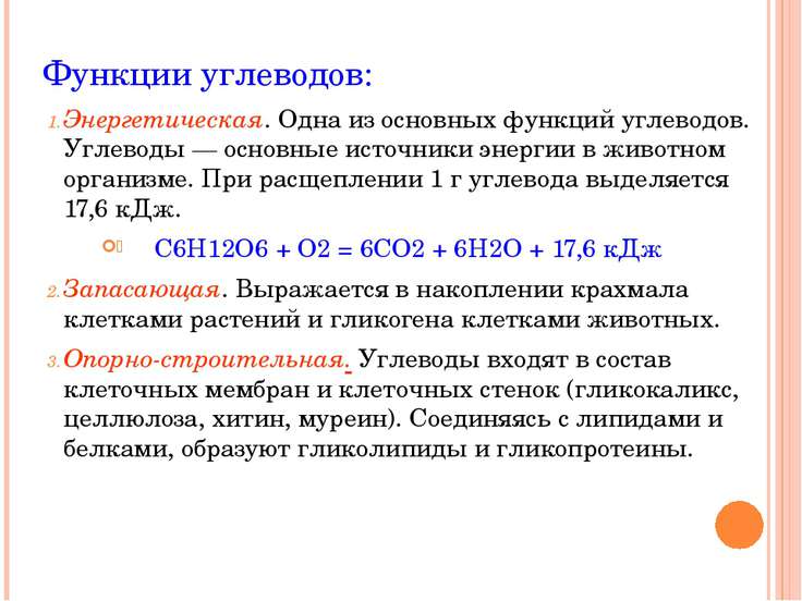 что входит в состав бальзама лошадиная сила что входит в состав бальзама лошадиная сила