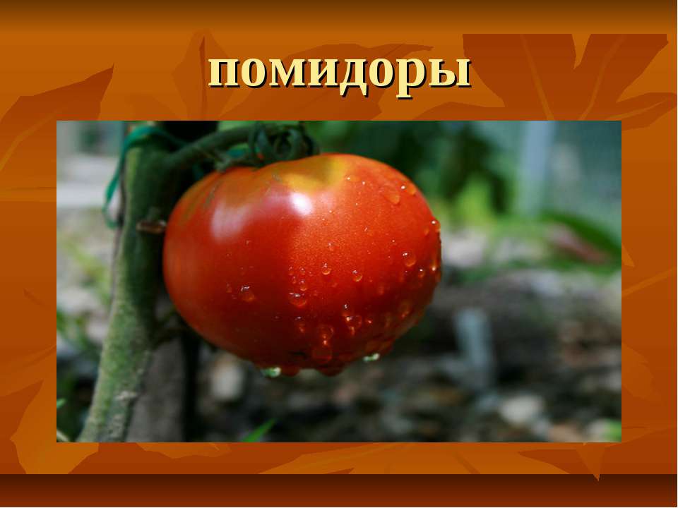 http://uslide.ru/images/4/11084/960/img4.jpg