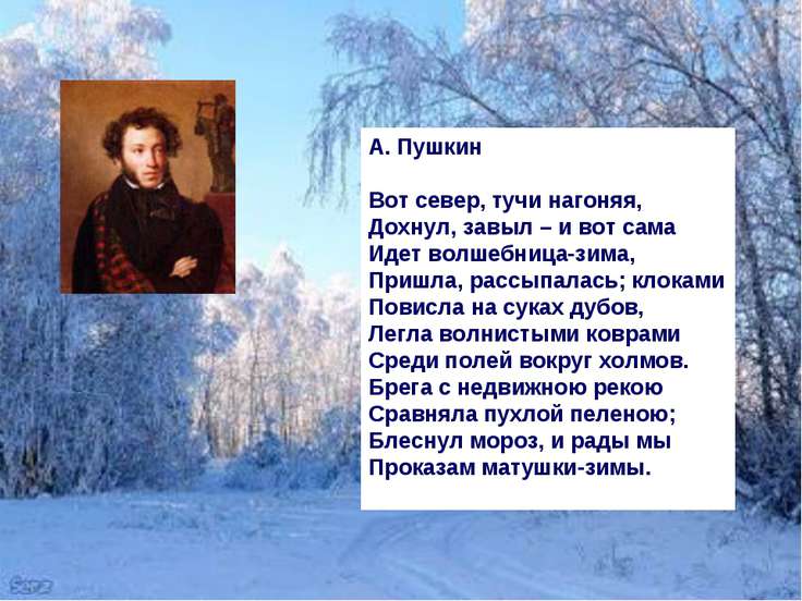 Как накрыть можжевельник на зиму