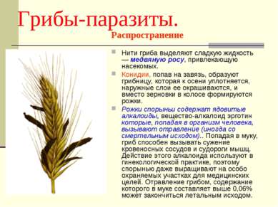 грибы паразиты человека и животных презентация грибы паразиты человека и животных презентация