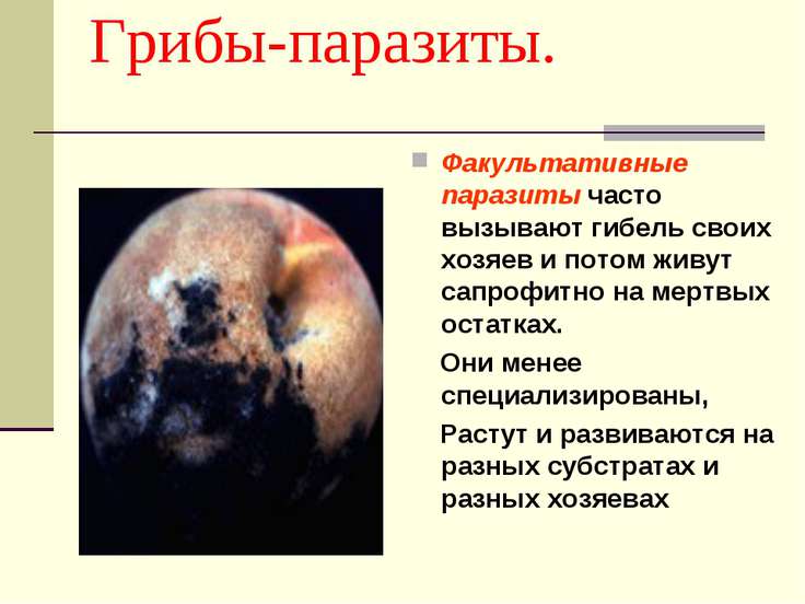 bbc паразиты в организме человека смотреть онлайн bbc паразиты в организме человека смотреть онлайн