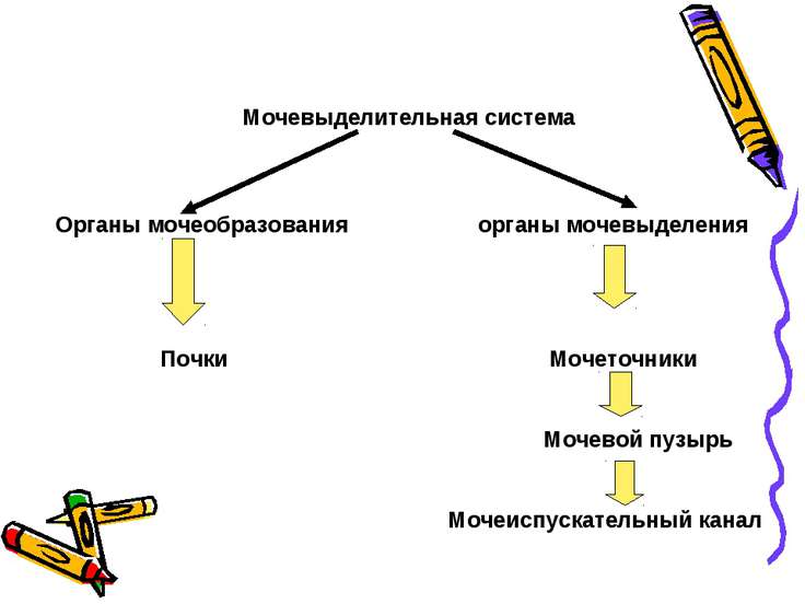 решебник геометрия шлыков 9 класс