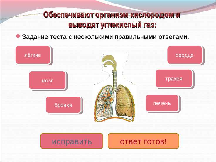 Замена масла в двигателе на вазе Замена масла в двигателе на вазе