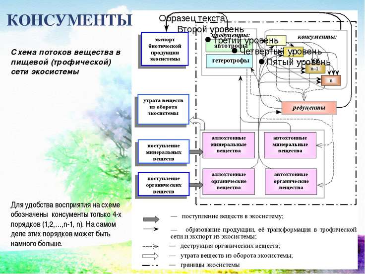 Как связаны в потоке энергии консумент Как связаны в потоке энергии консумент