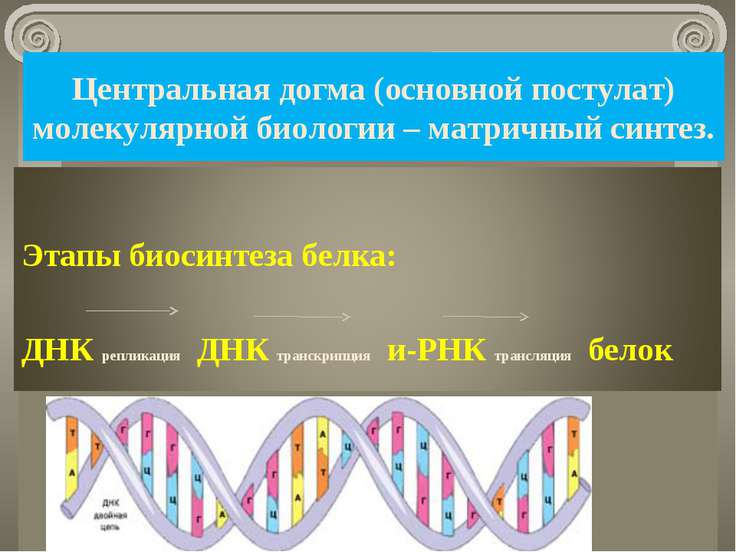 Проверочная работа по теме: молекулярный уровень 9 класс ответы