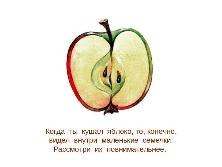Яблоко для статуса Яблоко для статуса