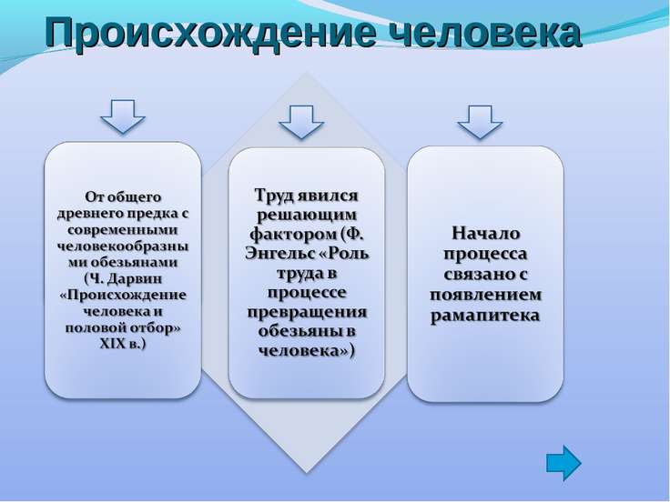 происхождение человека. картинки онлайн происхождение человека. картинки