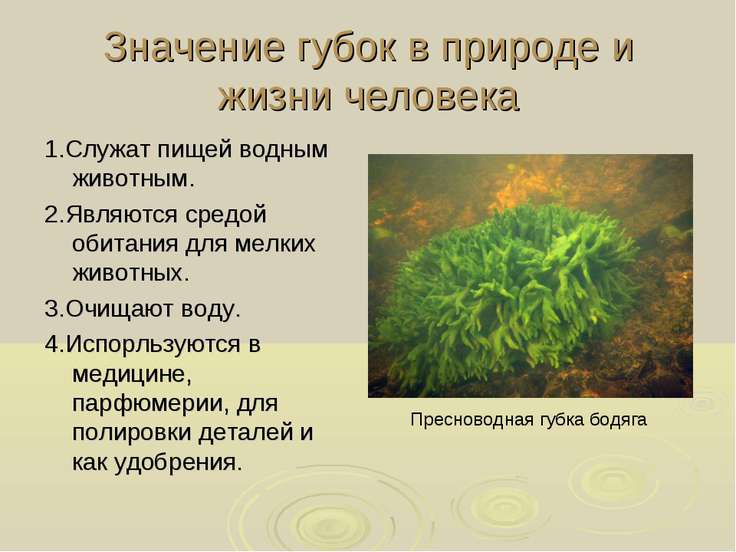 презентация значение металлов в медицине бесплатно презентация значение металлов в медицине бесплатно