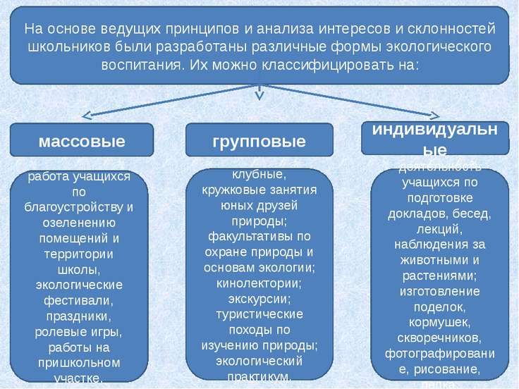 Школьный доклад по экологии 41