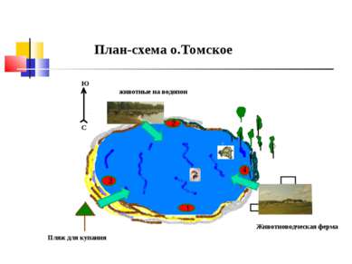 План схема пляжа