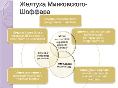 Презентация минковского шоффара