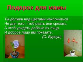 Комнатные растения — наши друзья