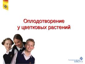Оплодотворение у цветковых растений