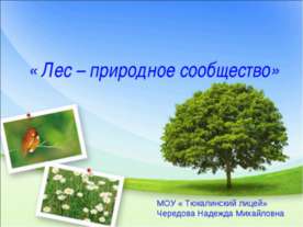 Лес – природное сообщество