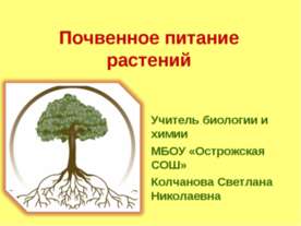 Почвенное питание растений