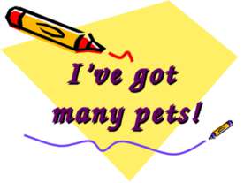 I’ve got many pets