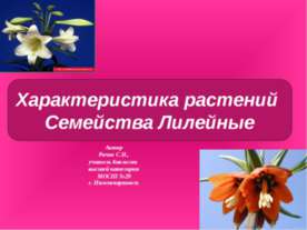 Характеристика растений. Семейства Лилейные