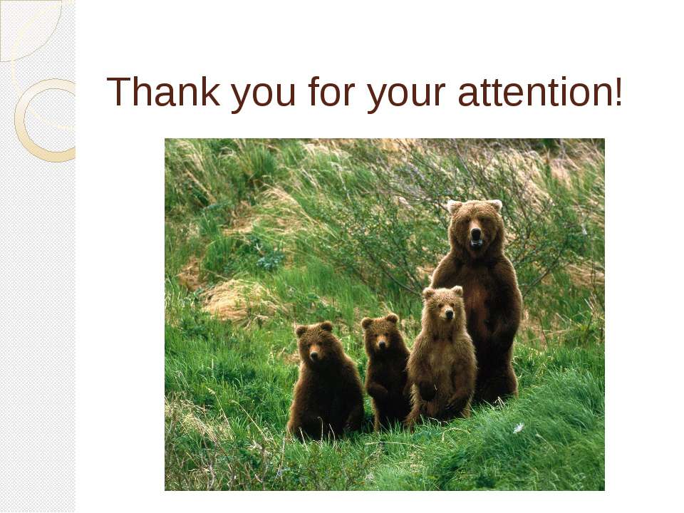 все о медведях для детей 1 класса О для все медведях 1 класса детей