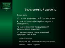 Экосистемный уровень