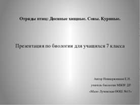 Дневные хищные птицы. Совы. Куриные.