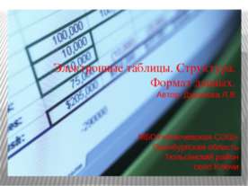 Электронные таблицы. Структура. Формат данных