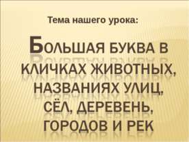 Большая буква в кличках животных, названиях улиц, сёл, деревень, городов и рек