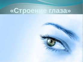 Строение глаза
