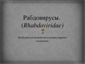 Рабдовирусы. (Rhabdoviridae) Возбудители бешенства и вазикулярного стоматита