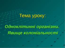 Одноклітинні організми. Явище колоніальності
