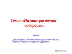 Низшие растения - водоросли