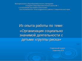 Организация социально значимой деятельности с детьми «группы риска»