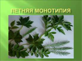 Летняя монотипия