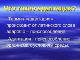 Что такое адаптация?