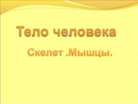 Тело человека Скелет .Мышцы