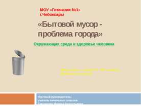 Бытовой мусор - проблема города