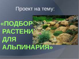 Подбор растений для Альпинария